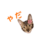 クレアとメリー（個別スタンプ：2）