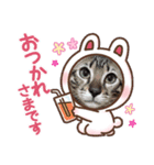 クレアとメリー（個別スタンプ：5）