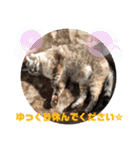 もちゃ＆さゆちゃん4（個別スタンプ：11）