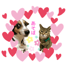 [LINEスタンプ] 海くんとパトラ
