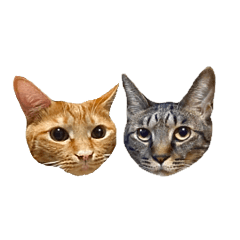 [LINEスタンプ] ライムとシンバ