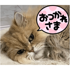 [LINEスタンプ] 上からまり子