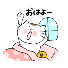 [LINEスタンプ] 【毎日使える】ねこシリーズ1