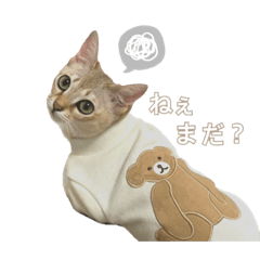 [LINEスタンプ] おてんばモカスタンプ