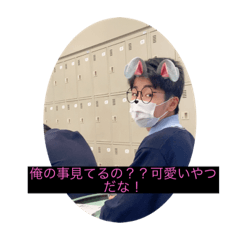 [LINEスタンプ] てぃがーです