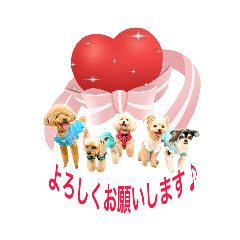 [LINEスタンプ] 5わんちゃんの日常スタンプ