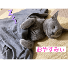 [LINEスタンプ] サラロワ