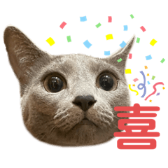 [LINEスタンプ] まりも・めかぶ・こんぶすたんぷ！6