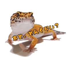 [LINEスタンプ] レオパ部