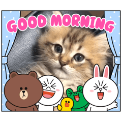 [LINEスタンプ] ミミのご挨拶