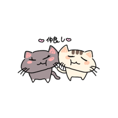 [LINEスタンプ] かあいいねこのスタンプ