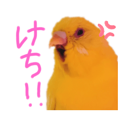 [LINEスタンプ] すけかく6