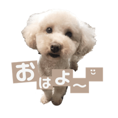 [LINEスタンプ] むぎちゃんスタンプ 2ツー