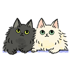 [LINEスタンプ] 白と黒のふわふわ！毎日猫ちゃんたち