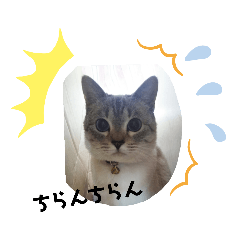 [LINEスタンプ] 2021あき