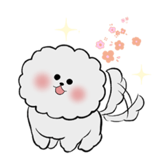 [LINEスタンプ] ビションフリーゼちろ