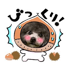 [LINEスタンプ] 毎日キュートなめいちゃんスタンプ