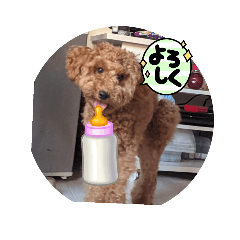 [LINEスタンプ] 犬 チョコ㌨の画像（メイン）
