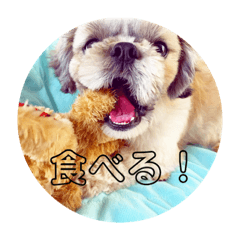 [LINEスタンプ] ばんばんばんちゃん