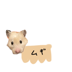 [LINEスタンプ] むぎぽよスタンプ