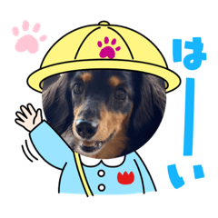 [LINEスタンプ] アンアン☆スタンプ⑵