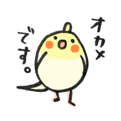 [LINEスタンプ] 毎日がオカメインコ