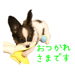 [LINEスタンプ] Puppyおうくん
