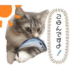 [LINEスタンプ] アルフとラッキーの日常スタンプ