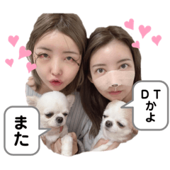 [LINEスタンプ] ぽんちゃんの本音