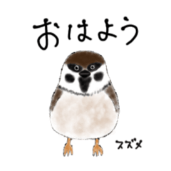 [LINEスタンプ] ゆるふわ野鳥のスタンプ