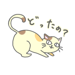 [LINEスタンプ] きょりにゃん