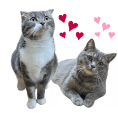 [LINEスタンプ] めんみ＆さらみ Ⅲ