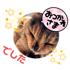 [LINEスタンプ] ふくとはなのスタンプ
