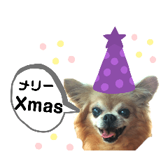 [LINEスタンプ] くぅとねねクリスマススタンプ