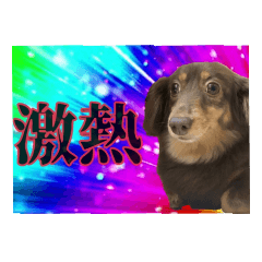 [LINEスタンプ] がんばるちむちむの画像（メイン）