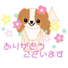 [LINEスタンプ] キャバリアスタンプby  prima cleo