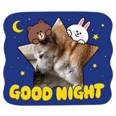 [LINEスタンプ] 乃慧瑠
