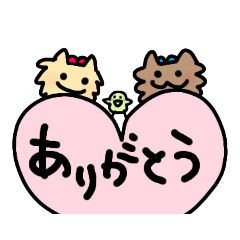 [LINEスタンプ] ♡ヨーキーちゃんとインコちゃん♡