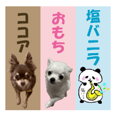 [LINEスタンプ] ココア おもち 塩バニラの日常スタンプ