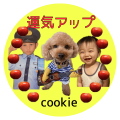 [LINEスタンプ] 運気アップ cookie