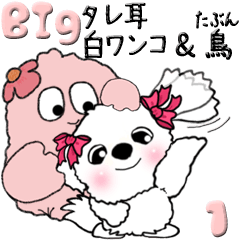 [LINEスタンプ] 【Big】タレ耳の白ワンコ＆(多分)鳥