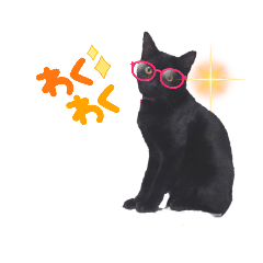 [LINEスタンプ] 黒ネコくん 2