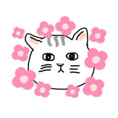 [LINEスタンプ] ねこのかおスタンプ 16