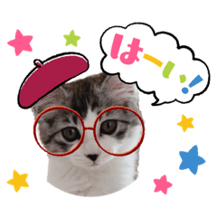 [LINEスタンプ] stellaちゃん