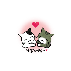 [LINEスタンプ] 愛らしい猫カップルの日常♡