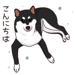 [LINEスタンプ] 柴犬(黒)1