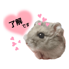 [LINEスタンプ] ハムちゃんの日常①