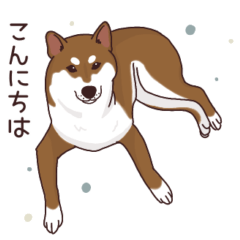 [LINEスタンプ] 柴犬(茶)1