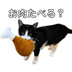 [LINEスタンプ] 4にゃんずすたんぷ