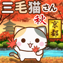 [LINEスタンプ] 動く♪京都の三毛猫さん【秋ver.】の画像（メイン）